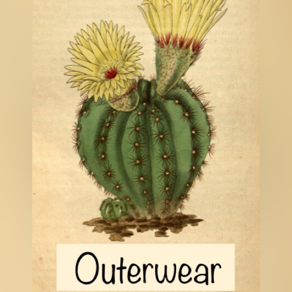 Jackets, Scarves, Gloves